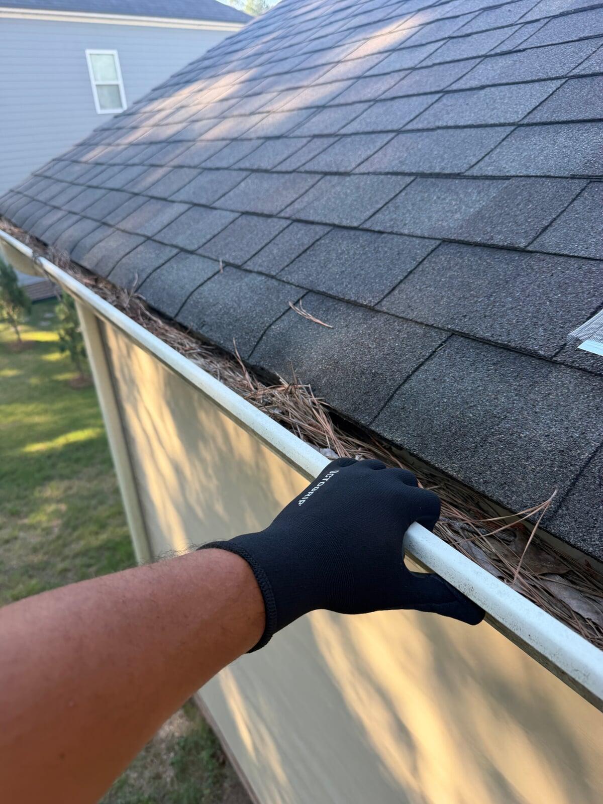 gutter full of pine needles